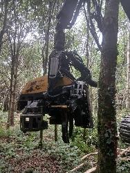 Silvatec 8266