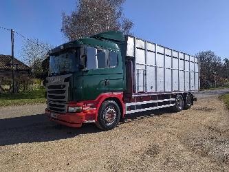 Scania G 480