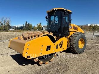 CAT CP11-01