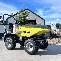 Bergmann 2035
