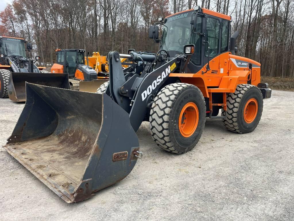Doosan DL 250 لوادر بعجل