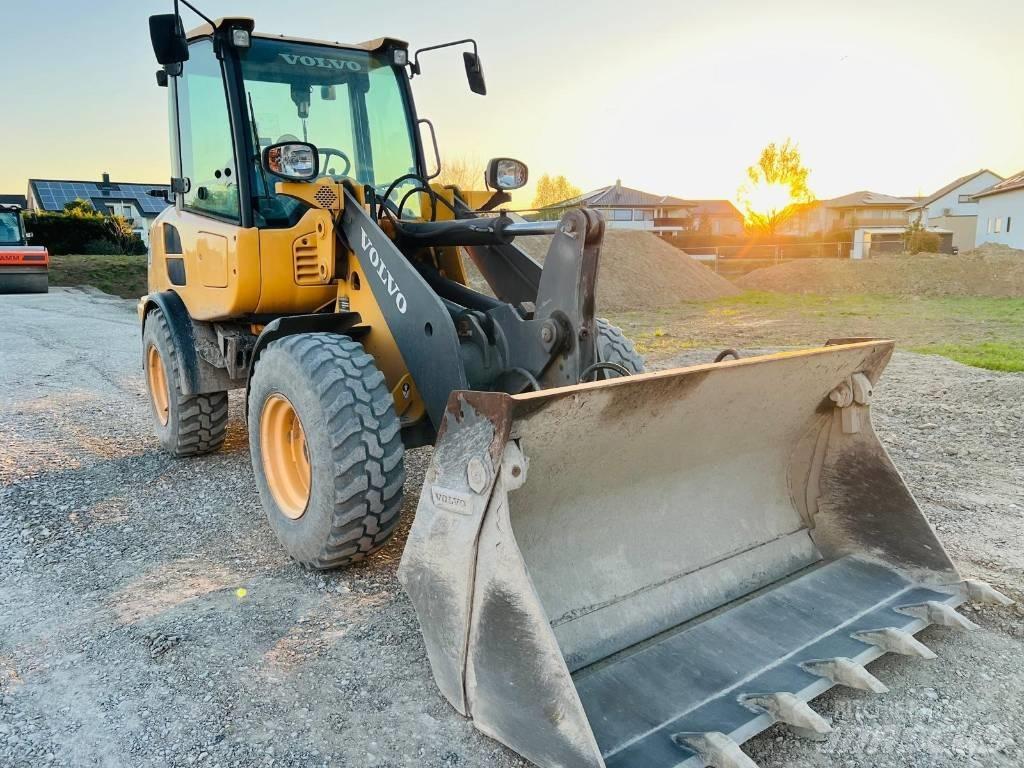 Volvo L25FZ لوادر انزلاقية التوجيه