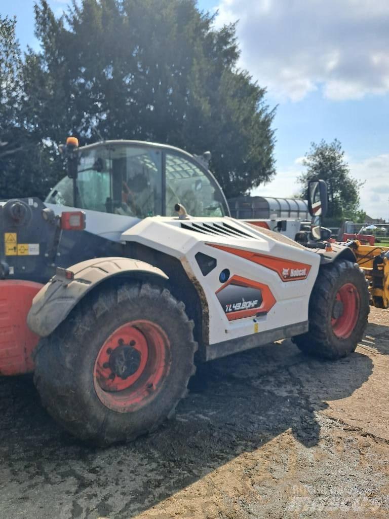 Bobcat TL 43.80 HF معدات مناولة لأغراض الزراعة