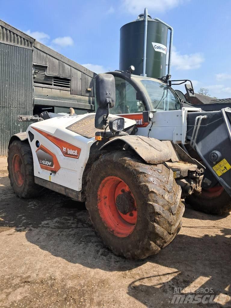 Bobcat TL 43.80 HF معدات مناولة لأغراض الزراعة