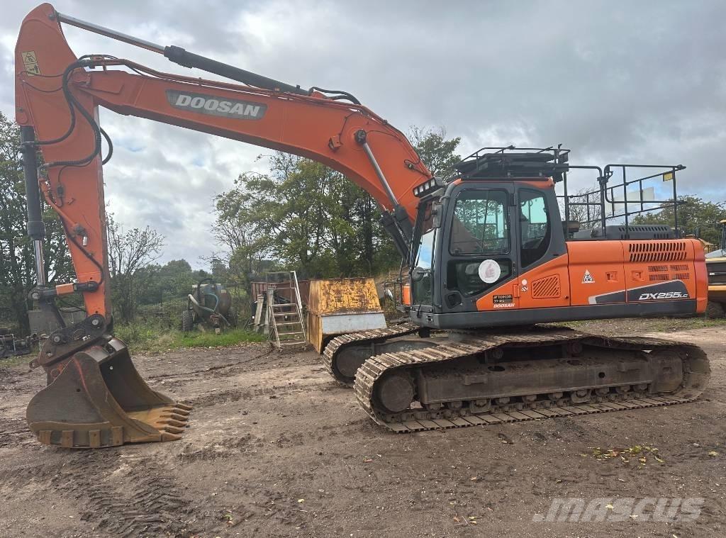 Doosan DX 255 LC-5 حفارات زحافة