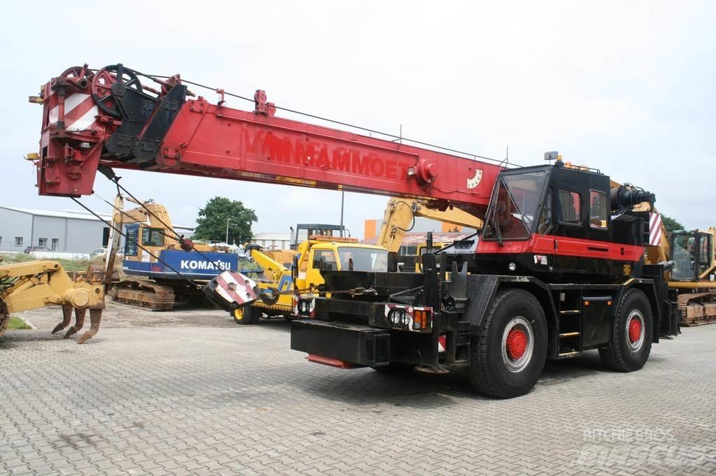 Tadano TR300EX NVT رافعات صالحة لكل أنواع الطرق