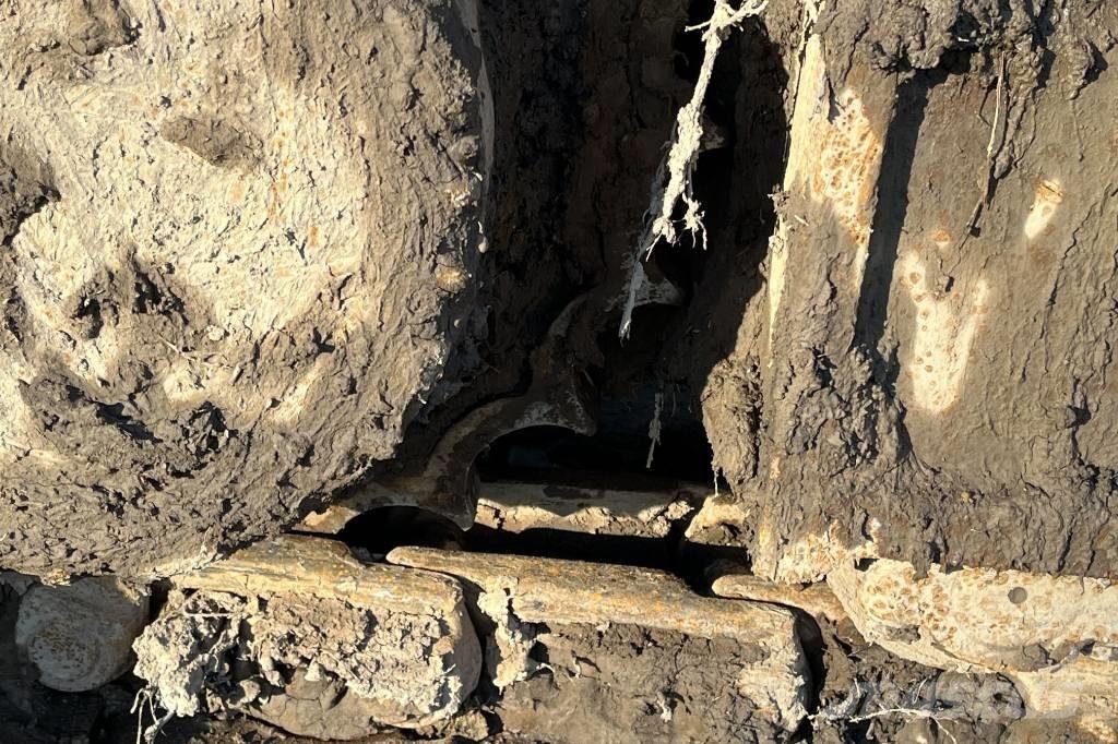 CASE CX 235 C حفارات زحافة