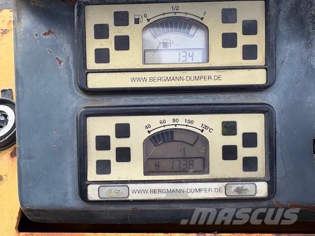 Bergmann 2050 عربات نقل قلابة للمواقع