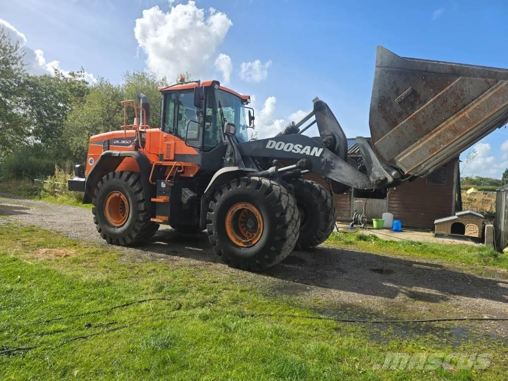 Doosan DL 300-5 لوادر بعجل