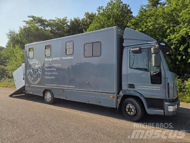 Iveco E 75 شاحنات نقل الحيوانات