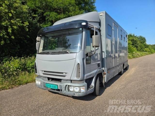Iveco E 75 شاحنات نقل الحيوانات