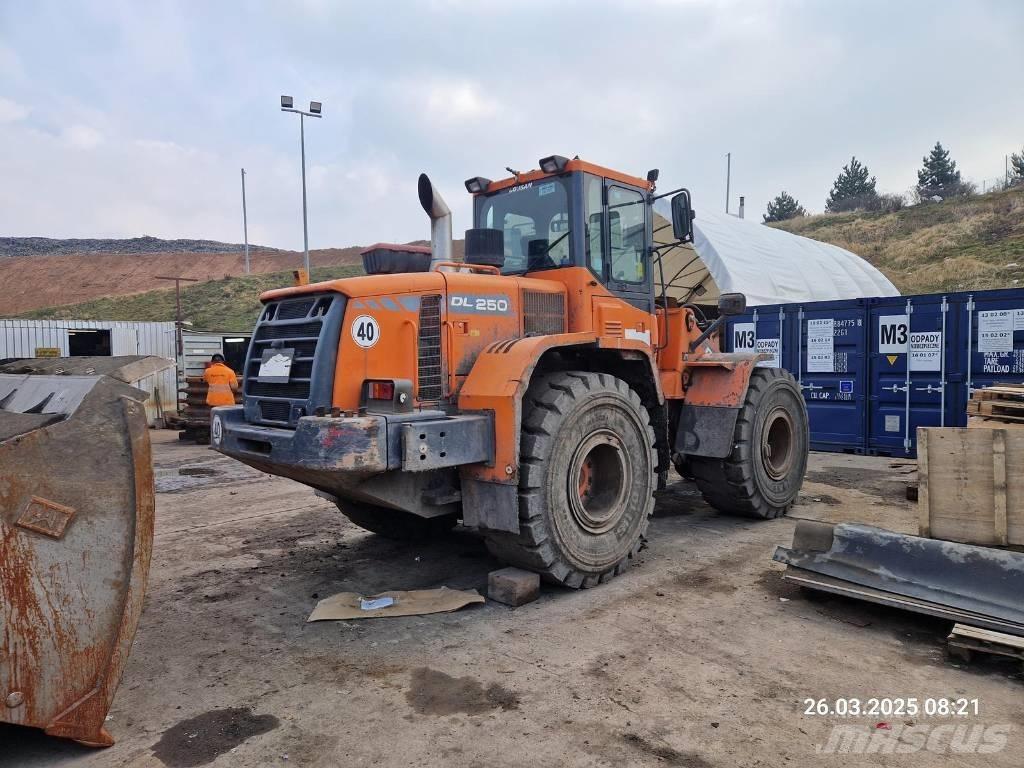 Doosan DL 250 لوادر بعجل