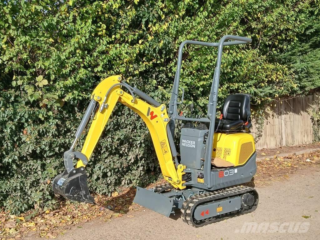 Wacker Neuson 803 حفارات صغيرة أقل من 7 طن (حفارات صغيرة)