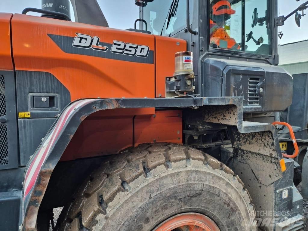 Doosan DL 250 - 7 لوادر بعجل