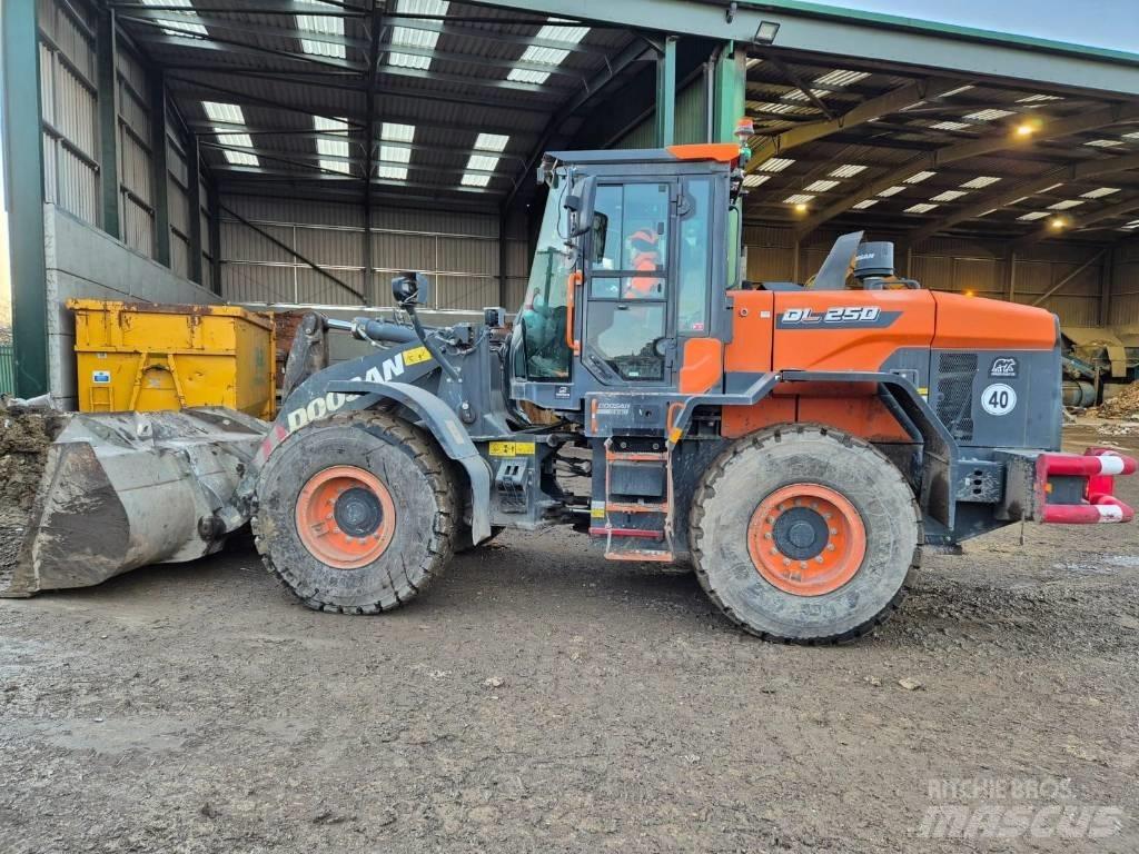 Doosan DL 250 - 7 لوادر بعجل