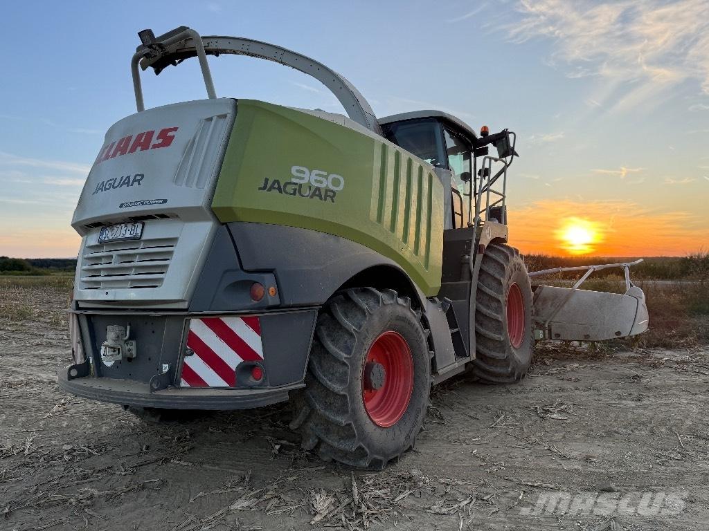 CLAAS Jaguar 960 4WD حصادات الأعلاف
