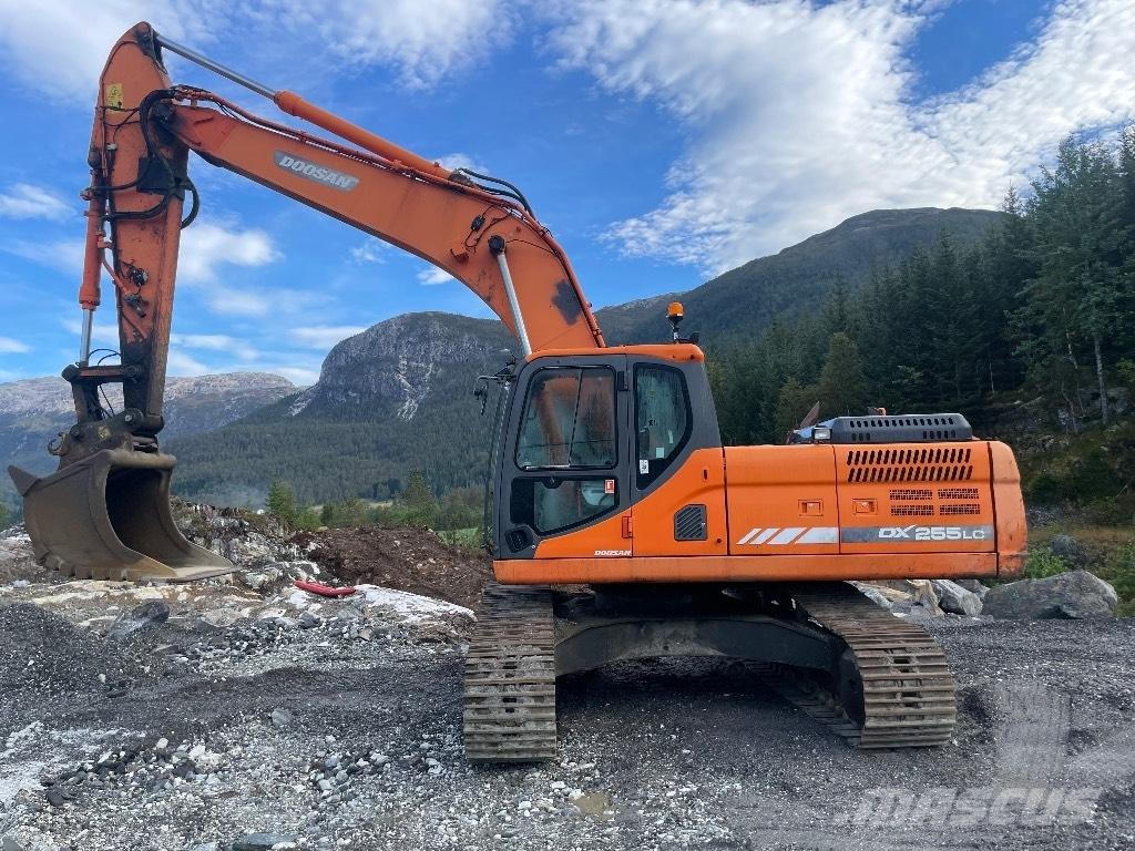 Doosan DX 255 LC-3 حفارات زحافة