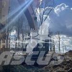 CAT 349EL حفارات زحافة