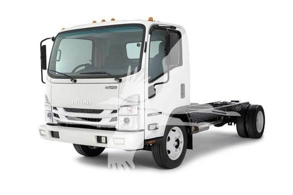 Isuzu NPR HD شاحنات بمقصورة وهيكل