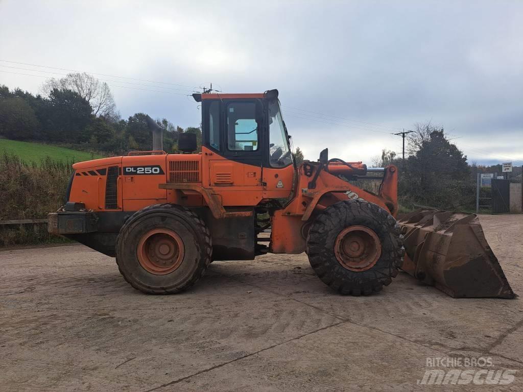 Doosan DL 250 لوادر بعجل