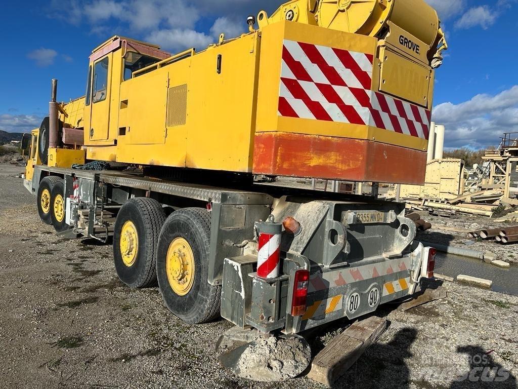 Grove TM 750 E رافعات مجنزرة