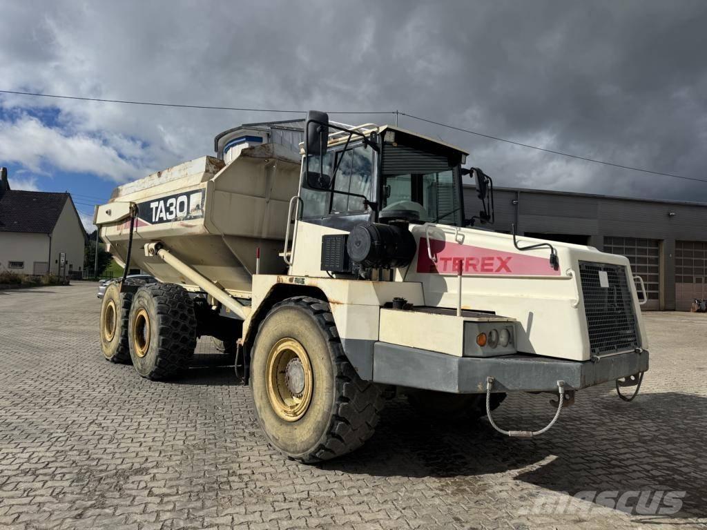 Terex TA 30 ساحبات مفصلية