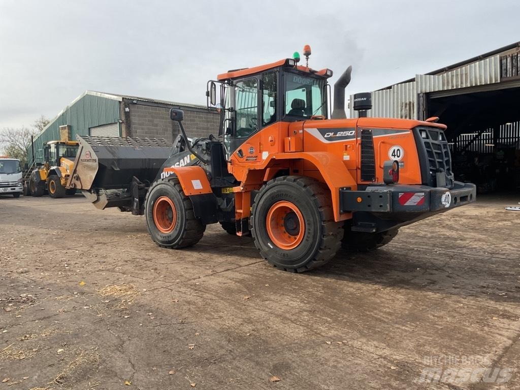 Doosan DL 250 لوادر بعجل