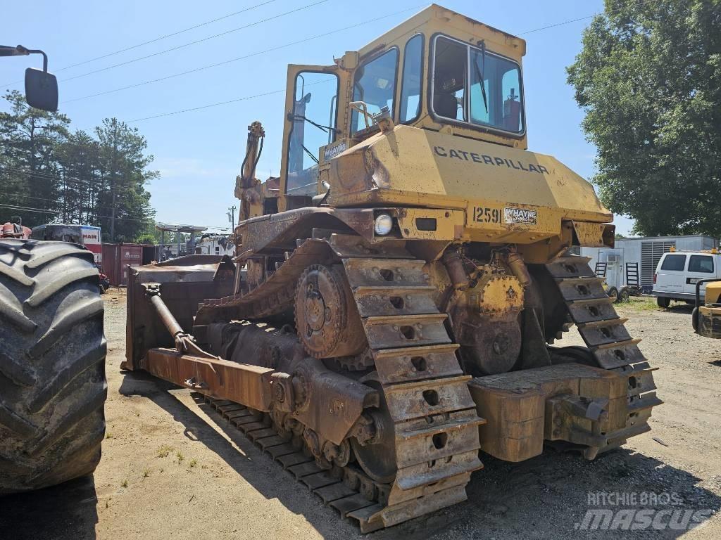 CAT D8N بلدوزرات مجنزرة