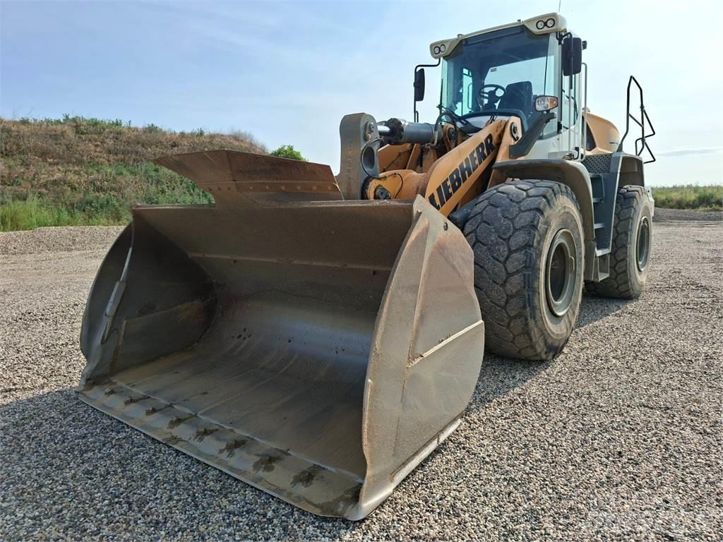 Liebherr L566 4X4 أخرى