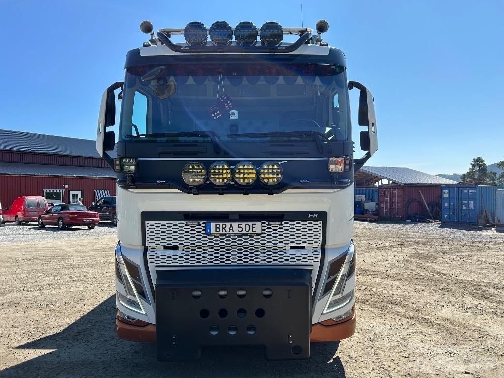 Volvo FH 540 شاحنات الرافعات الخطافية