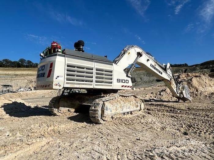 Liebherr R9100 حفارات خاصة