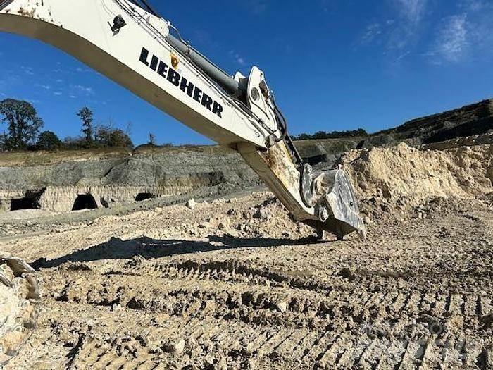 Liebherr R9100 حفارات خاصة