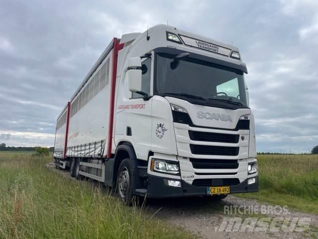 Scania R 450 شاحنات بغطاء جانبي