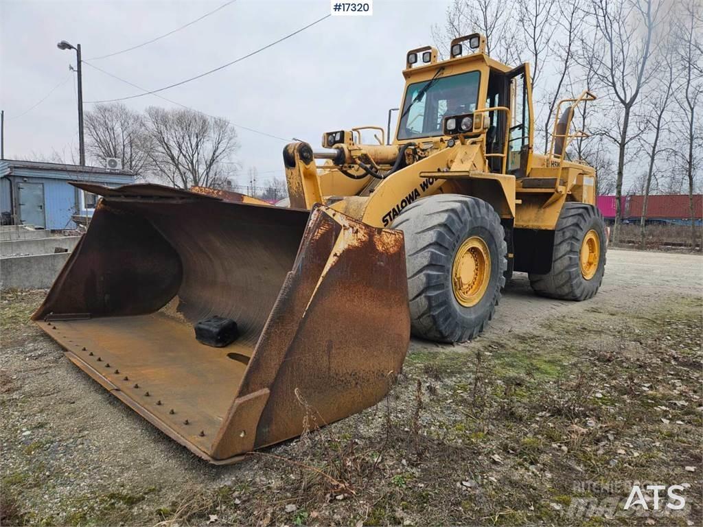 HSW 555B لوادر بعجل