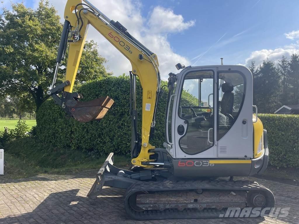 Wacker Neuson 6003 حفارات صغيرة أقل من 7 طن (حفارات صغيرة)
