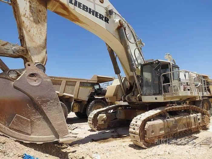 Liebherr R9150 حفارات خاصة