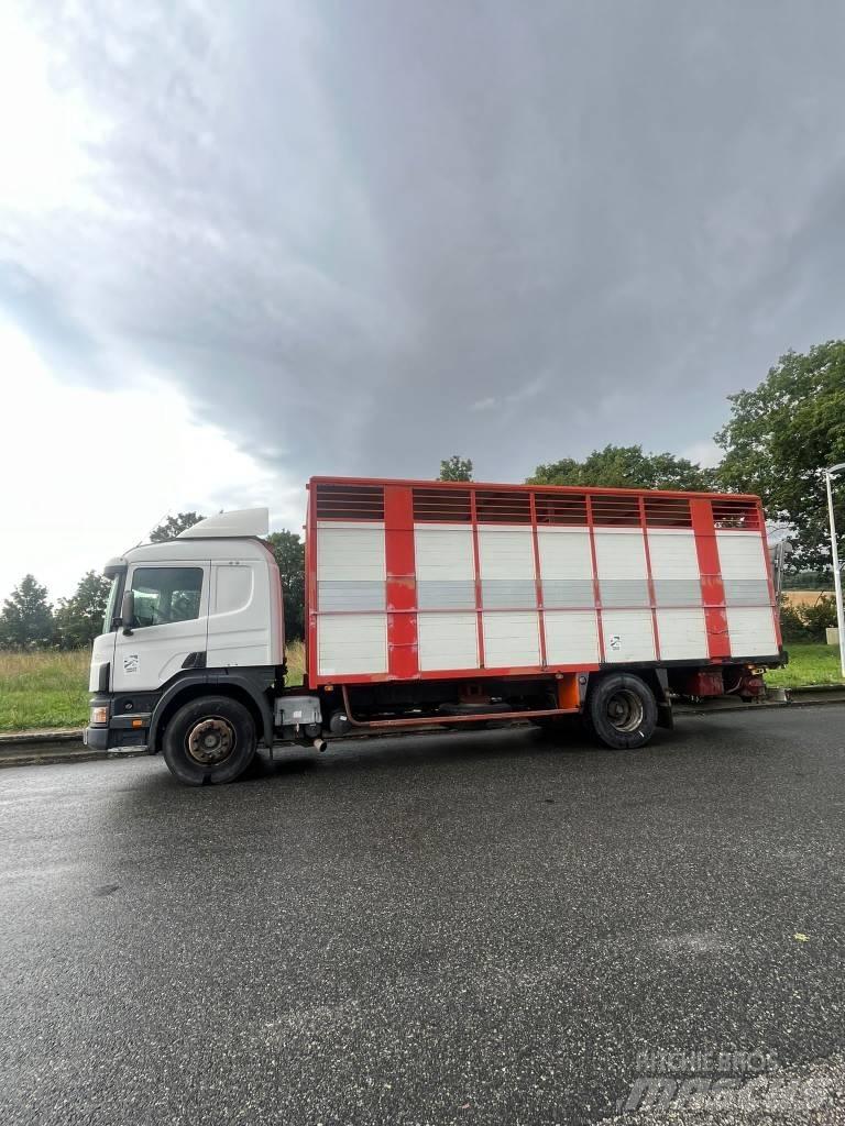 Scania 94 D 310 شاحنات نقل الحيوانات