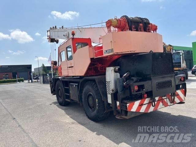 Tadano TR 300 EX رافعات الطرق الوعرة
