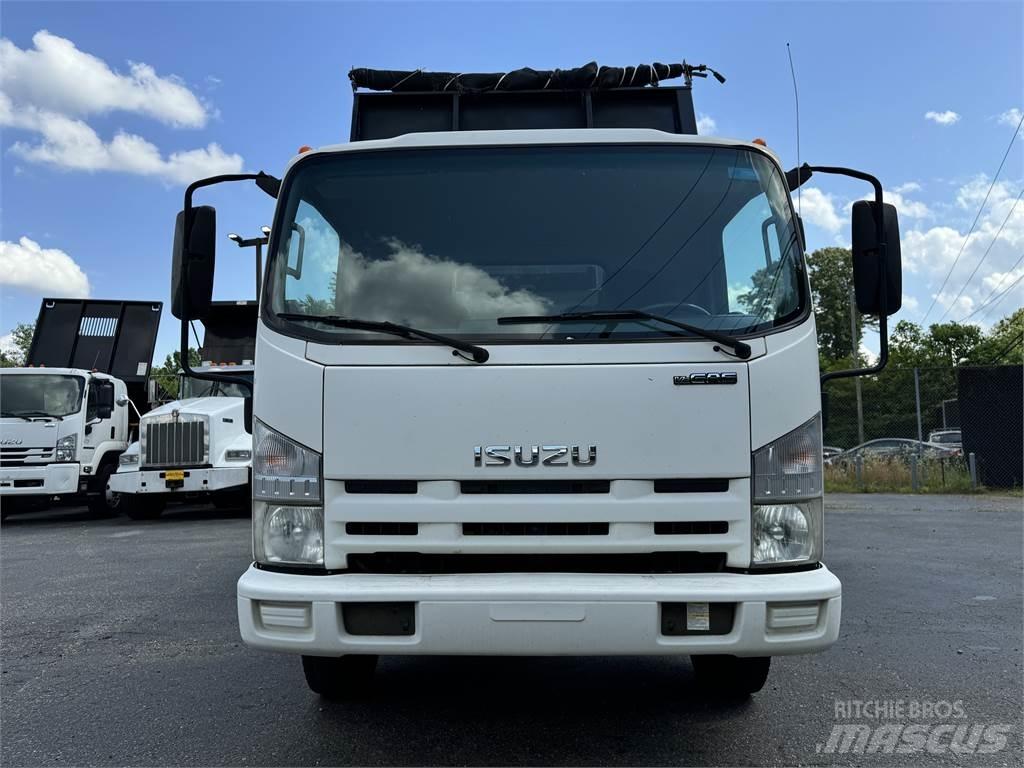 Isuzu NPR HD شاحنات قلابة