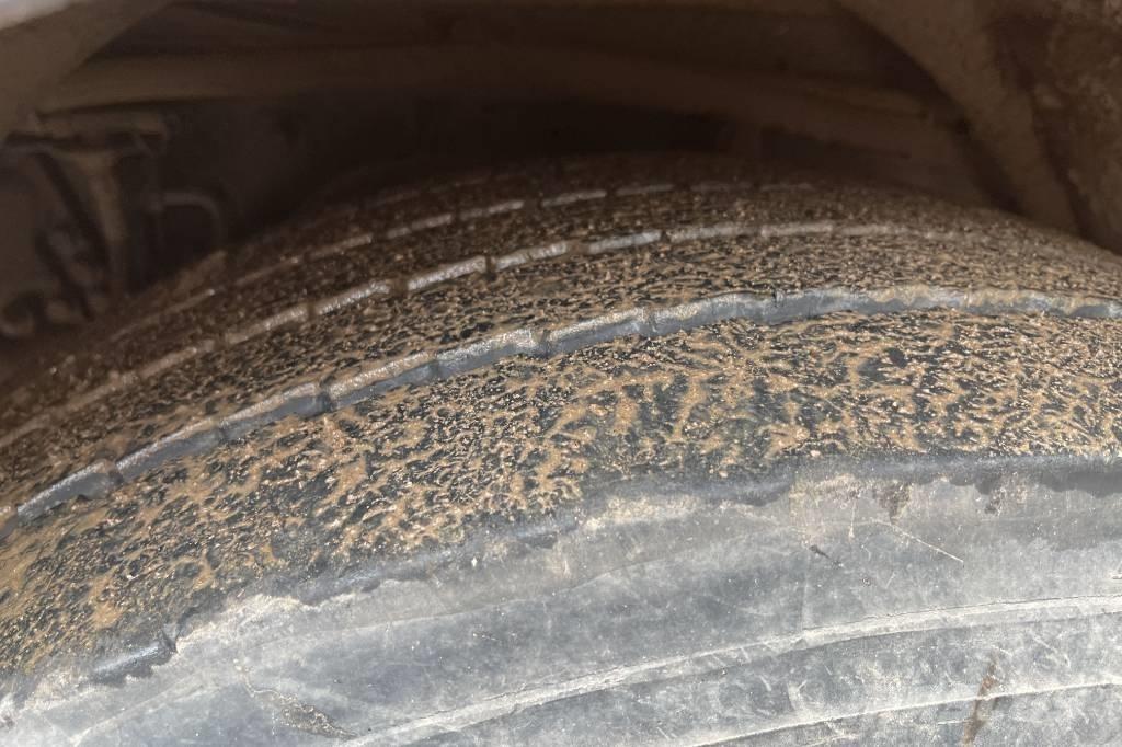 Scania P 310 كناسات