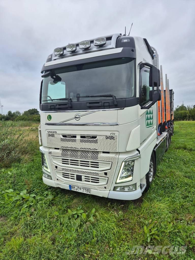 Volvo FH 460 6x4 شاحنات أشجار
