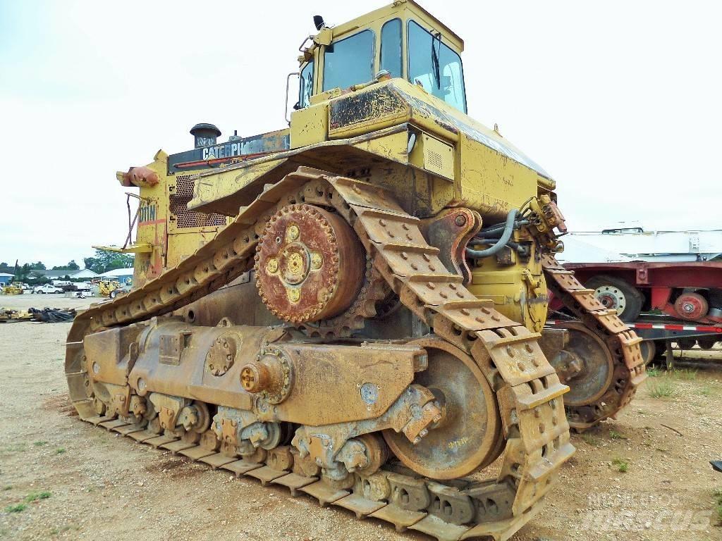 CAT D 11 N بلدوزرات مجنزرة