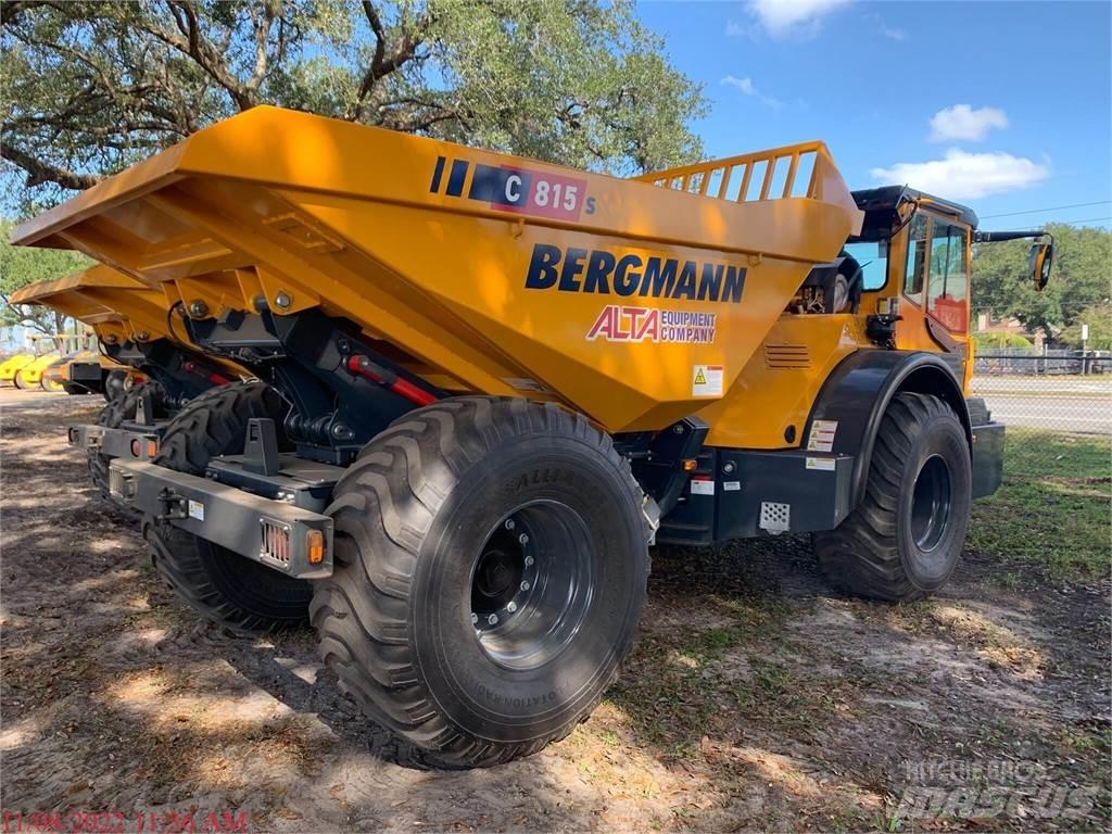 Bergmann C815S صهاريج مياه