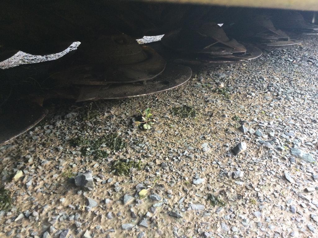 Fella SM 310 TL RC ماكينات جز العشب