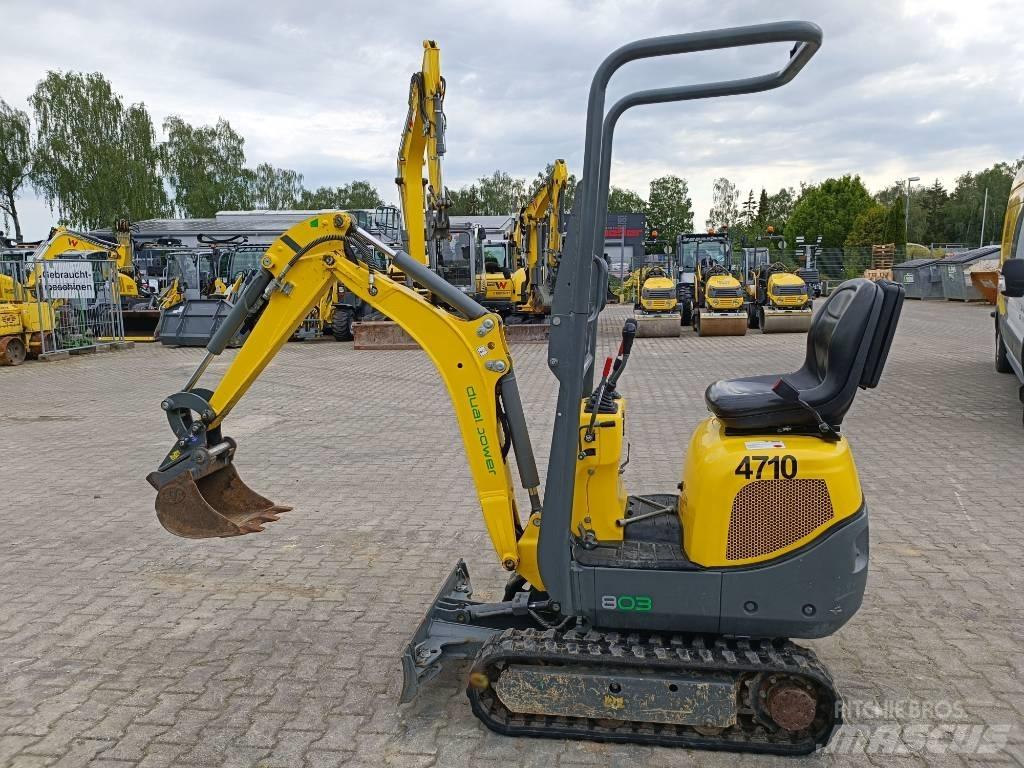 Wacker Neuson 803 حفارات زحافة