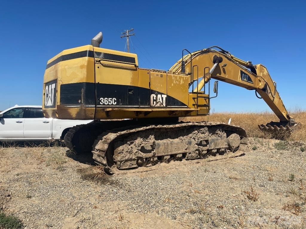 CAT 365 C L حفارات زحافة