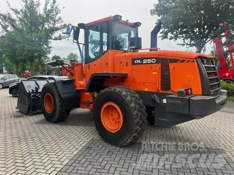 Doosan DL 250 لوادر بعجل