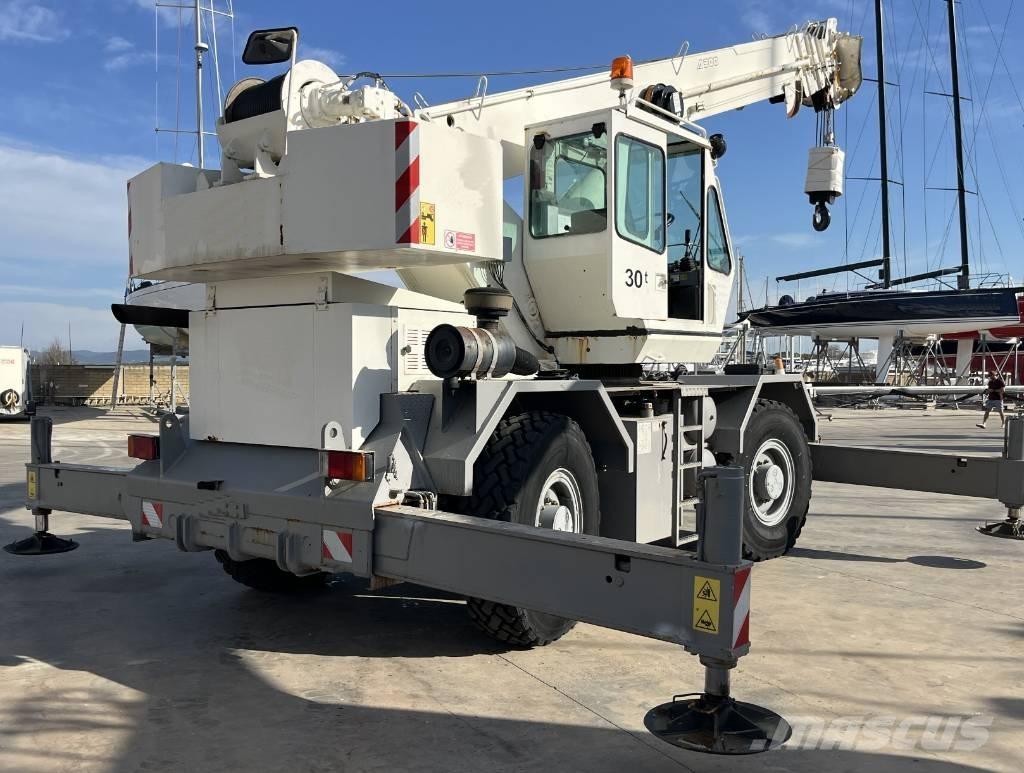 Terex A 300 رافعات الطرق الوعرة