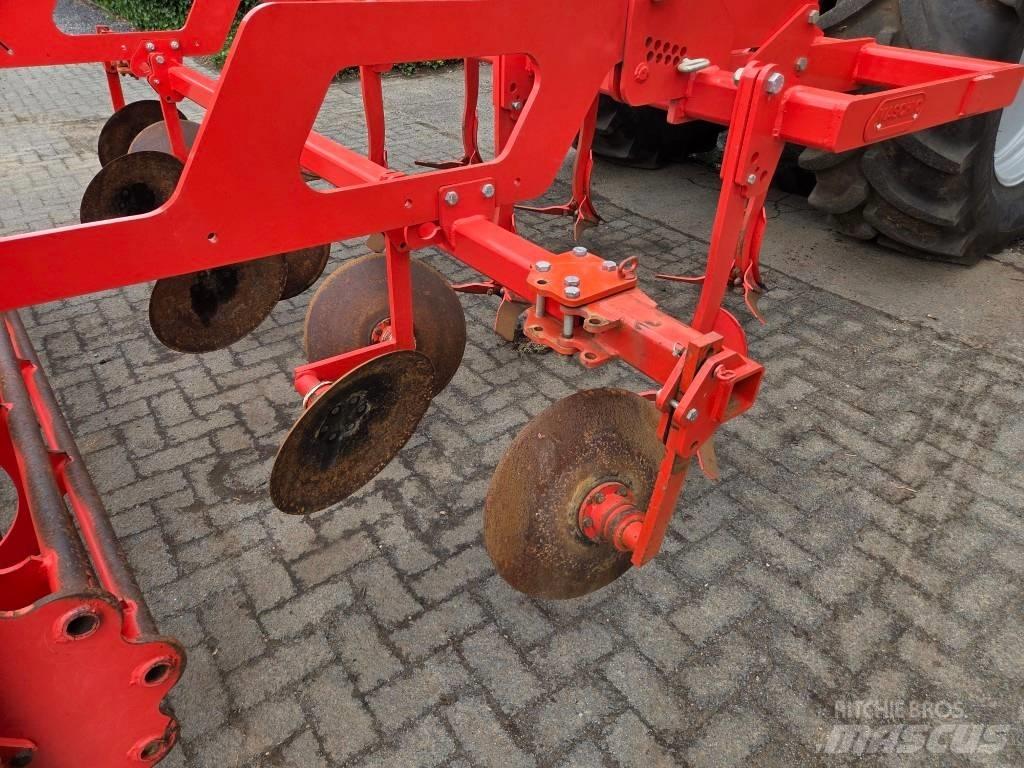 Maschio Terremoto 2 زراعات