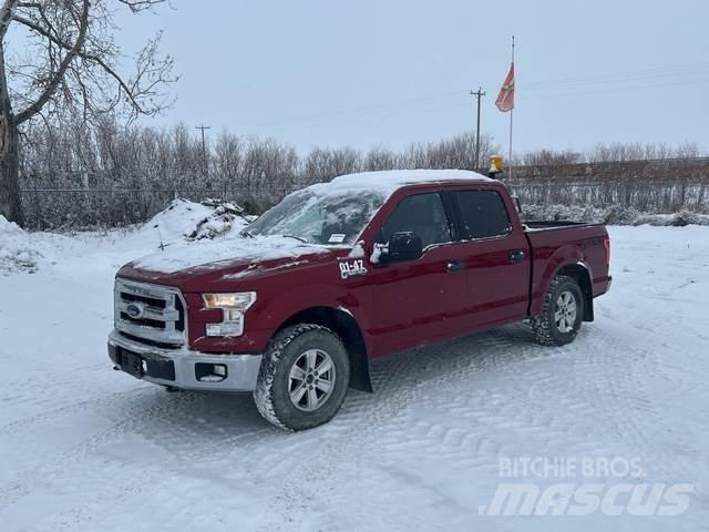 Ford F-150 أخرى